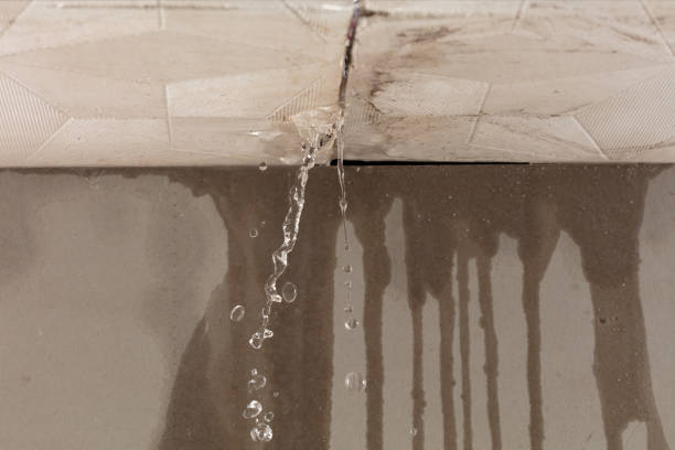 Professional Structural Drying technician working in Houston, PA